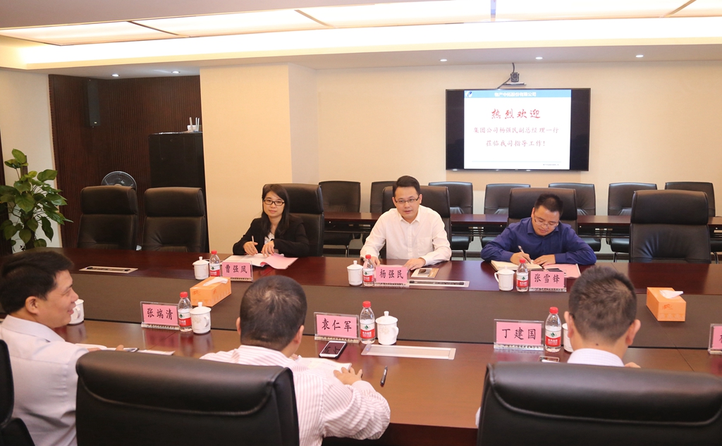 浙江省交通集团杨强民副总经理到公司调研领导